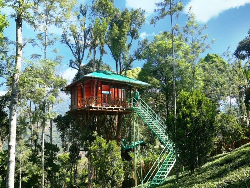 Dream Catcher Resort Munnar Exterior foto